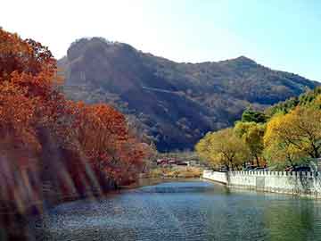 正新澳门二四六天天彩，朝鲜饿死人